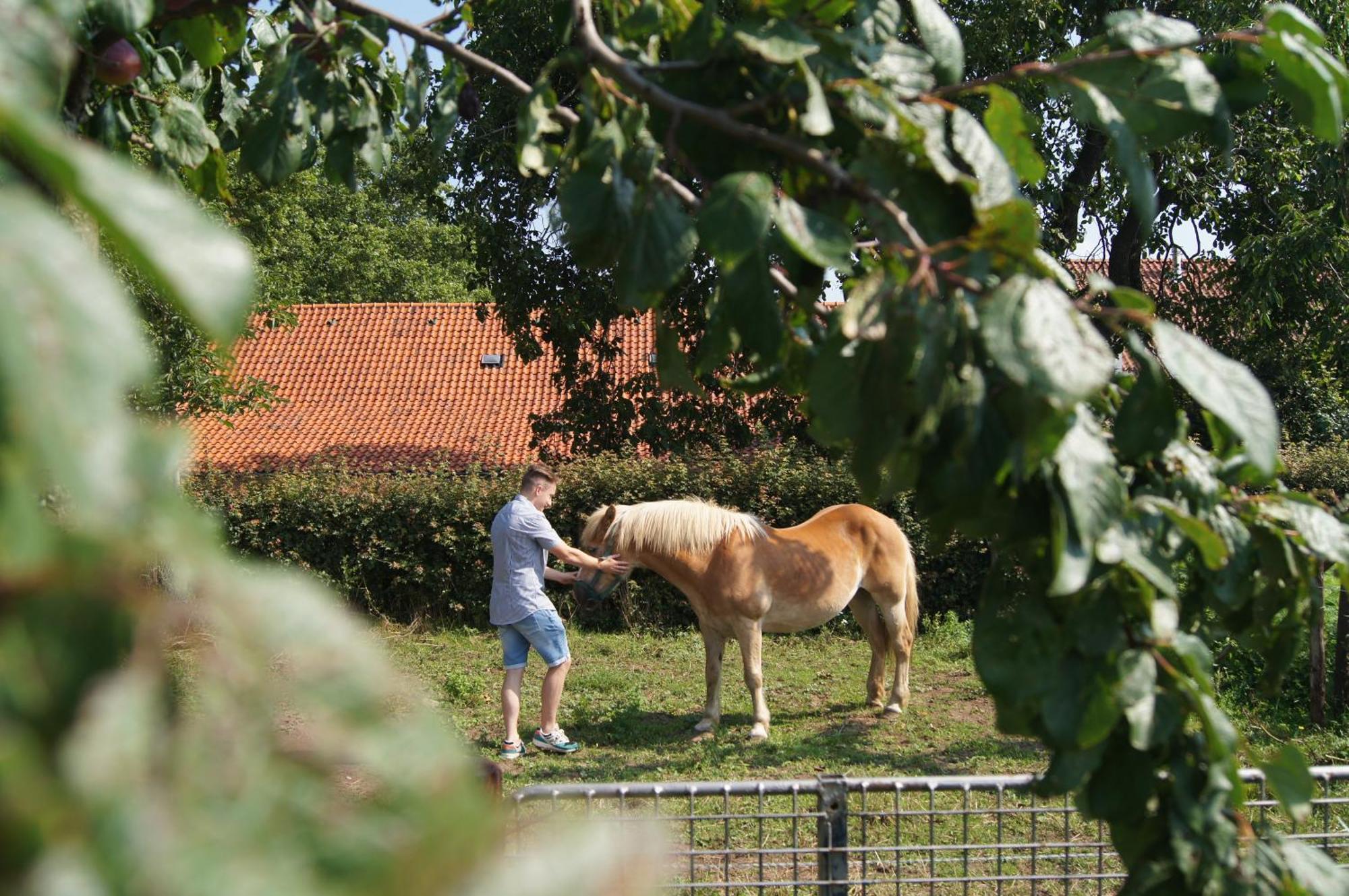 Hoeve Linnerveld Merum Exterior photo